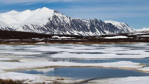 Alaskas toodi hukkunud Läti alpinistide surnukehad Denali mäelt alla