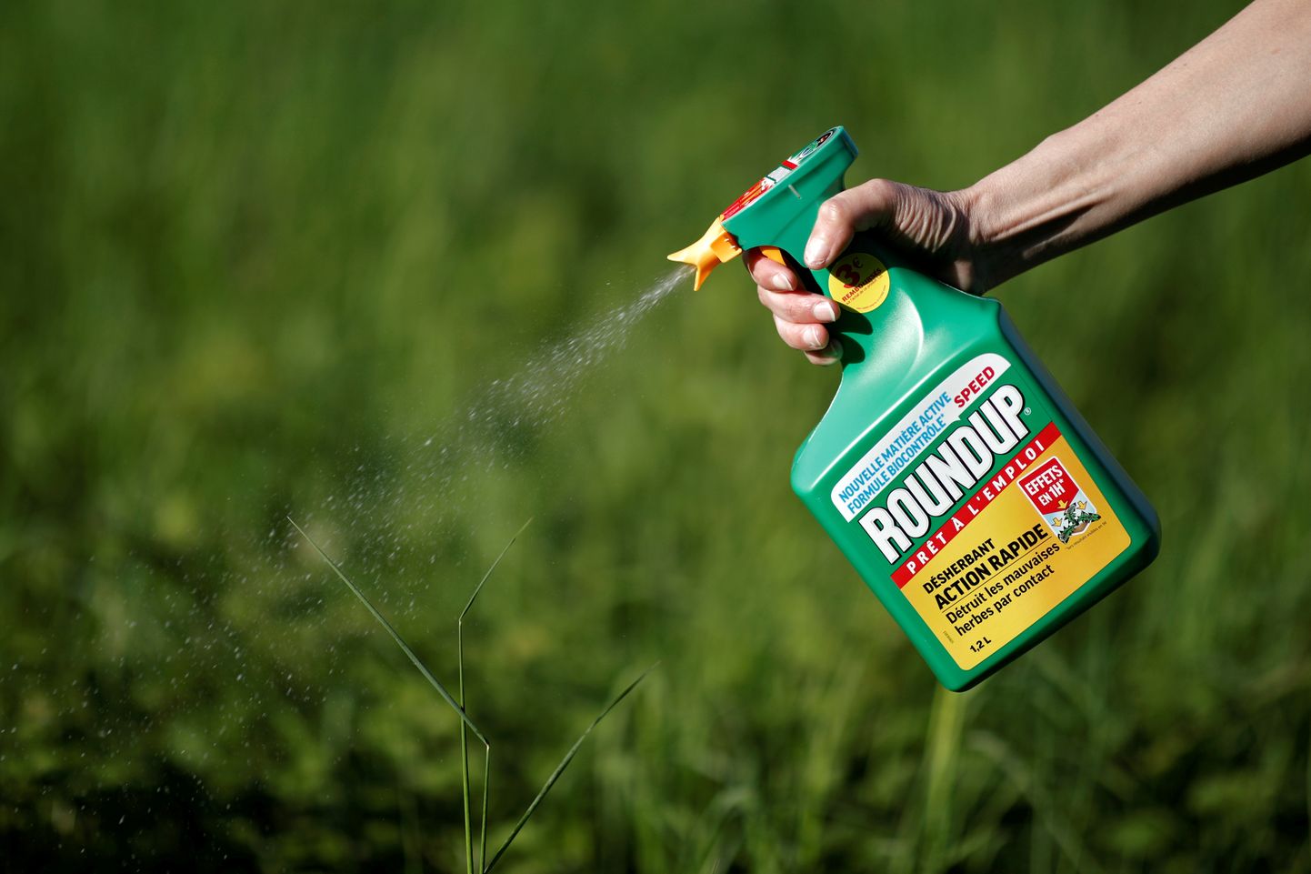 Суд присяжных в Калифорнии постановил, что Monsanto знала, о том, что средства от сорняков Roundup и RangerPro, содержащие глифосат, опасны для здоровья, но не предупредила покупателей.