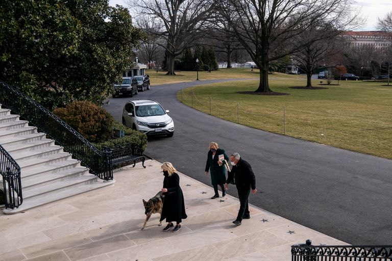 Первая леди США Джилл Байден ведет одну из своих собак, Чампа, по прибытии из Делавэра в Белый дом, 24 января 2021 года.