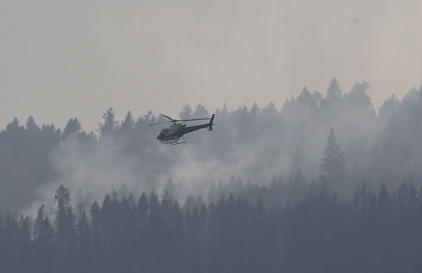 Helikopter lendamas üle maastikupõlengu Cache Creeki linnast läänes.