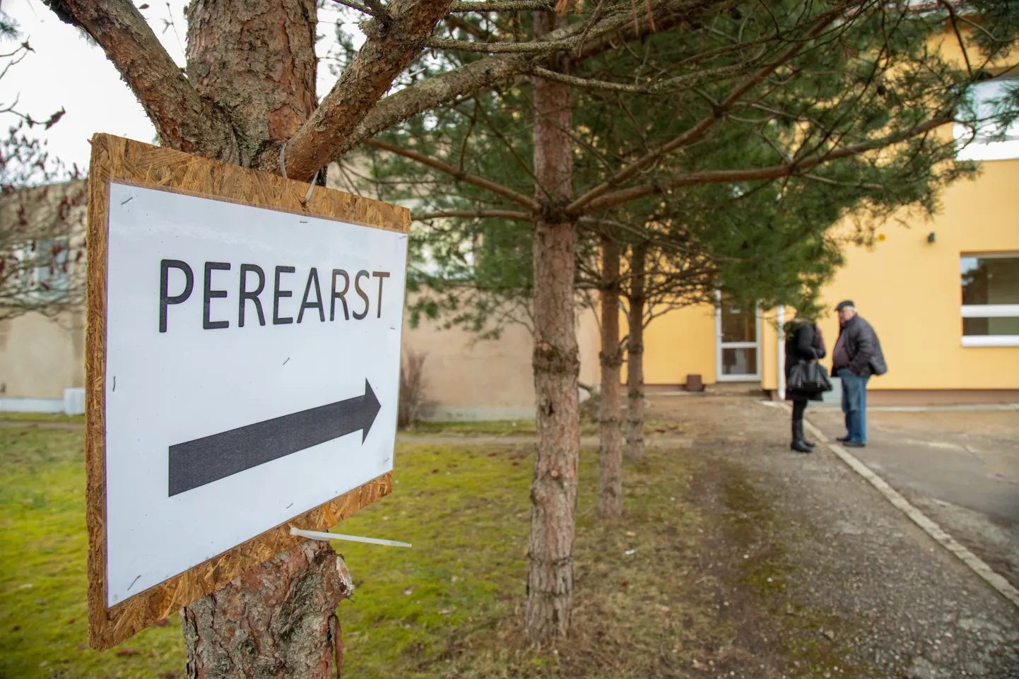 Perearst. Foto on illustreeriv.