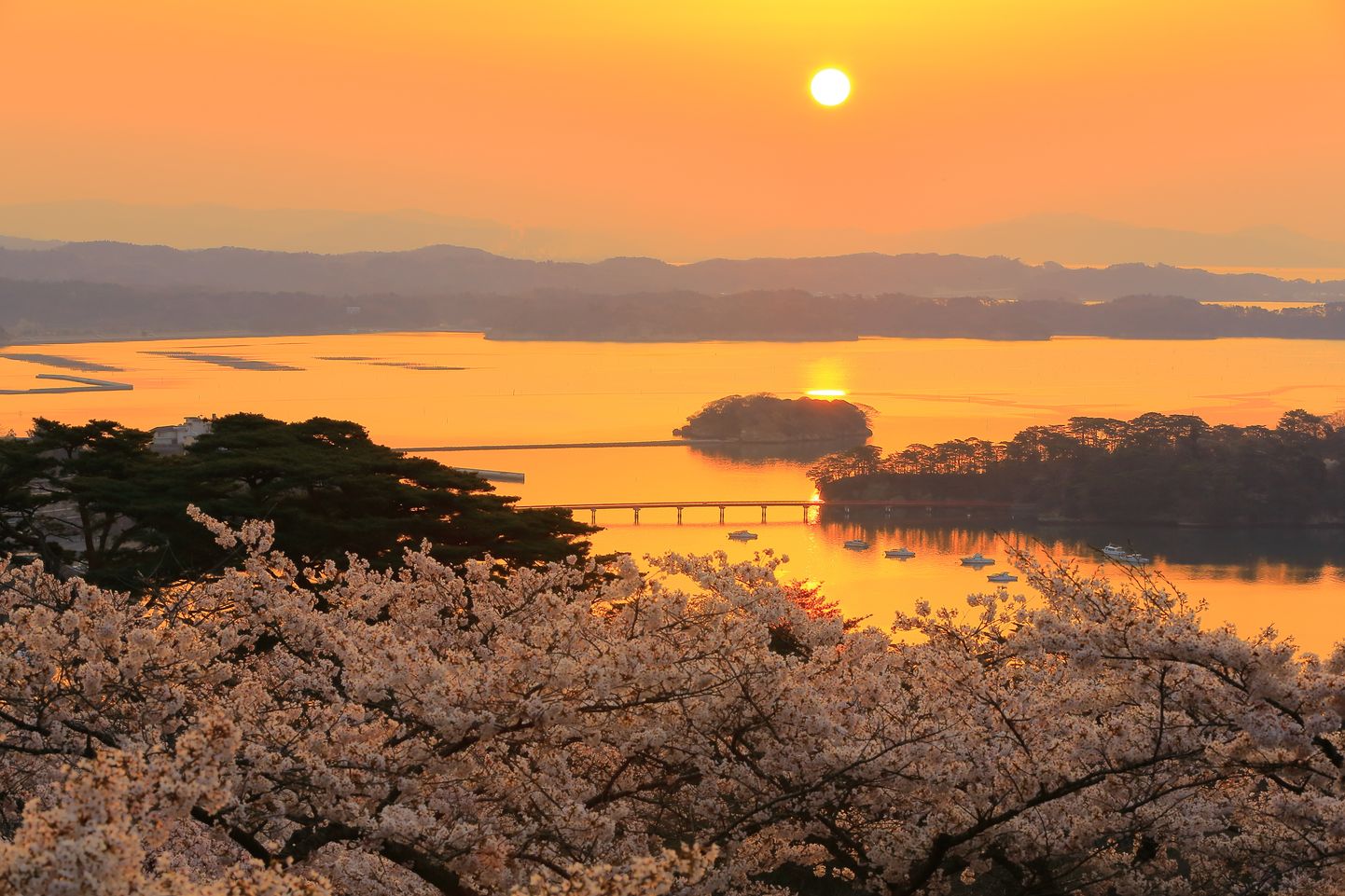Matsushima.