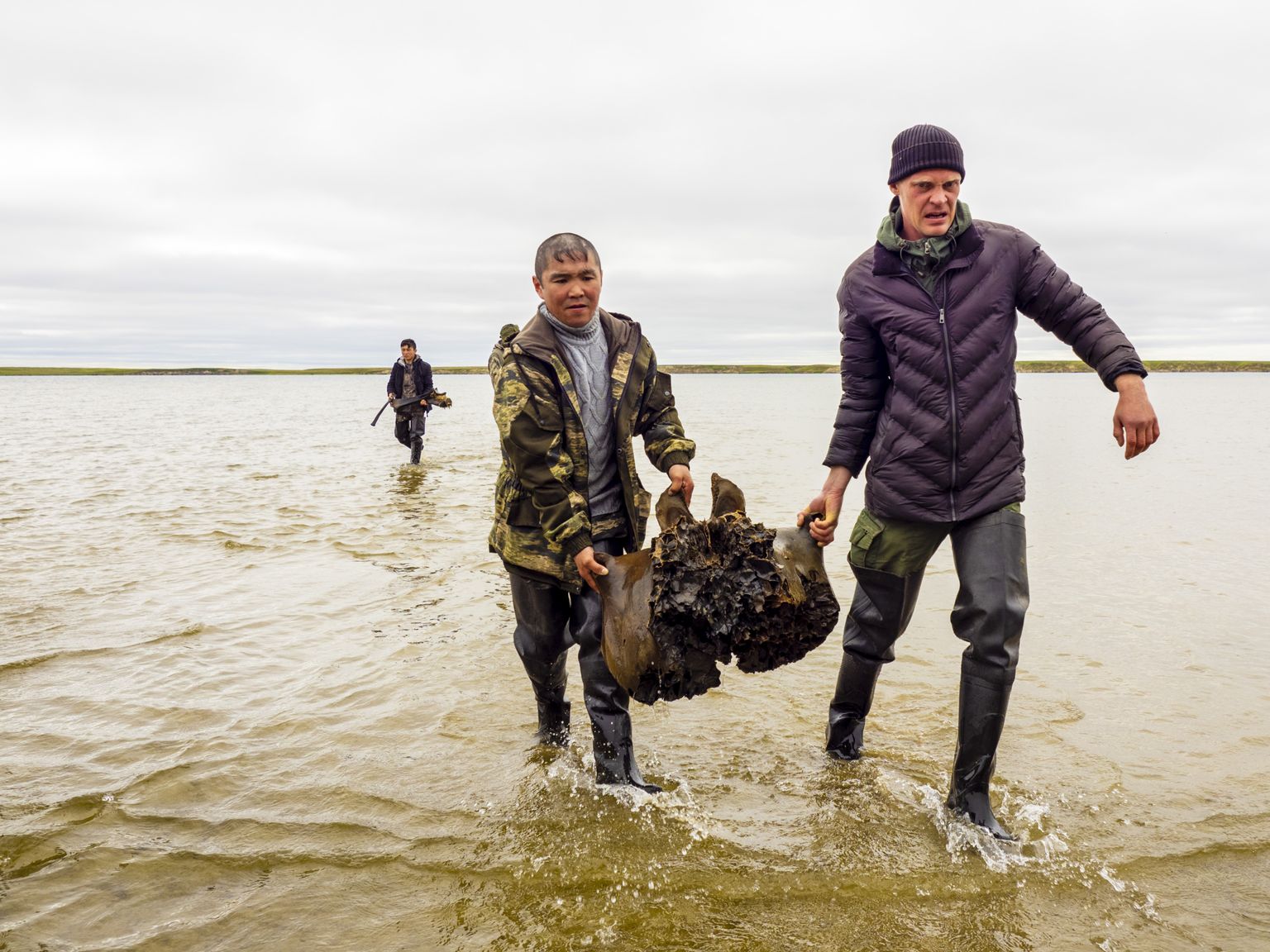 Venemaa Jamali poolsaare järvest leiti mammutijäänused