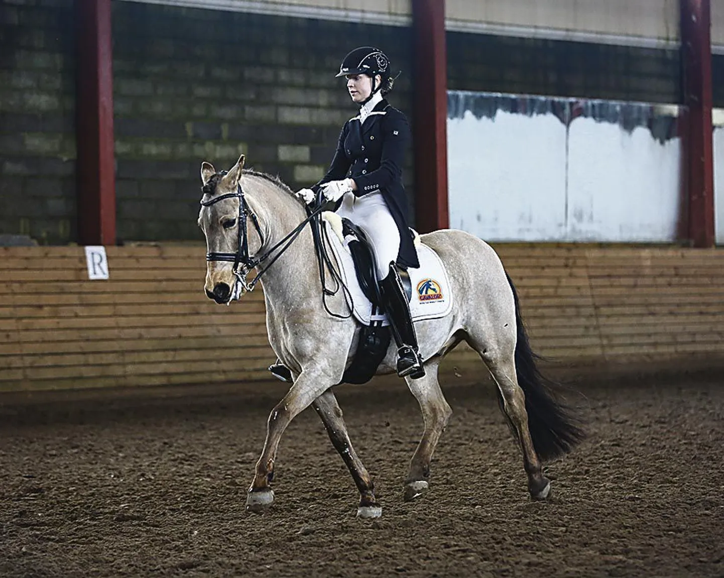 Marii-Heleen Raidmets Audruranna ratsutamisklubist tuli hobusel Rokit Eesti noortemeistriks.