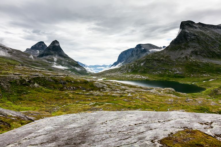 Norra mäestikuala. Pilt on illustreeriv