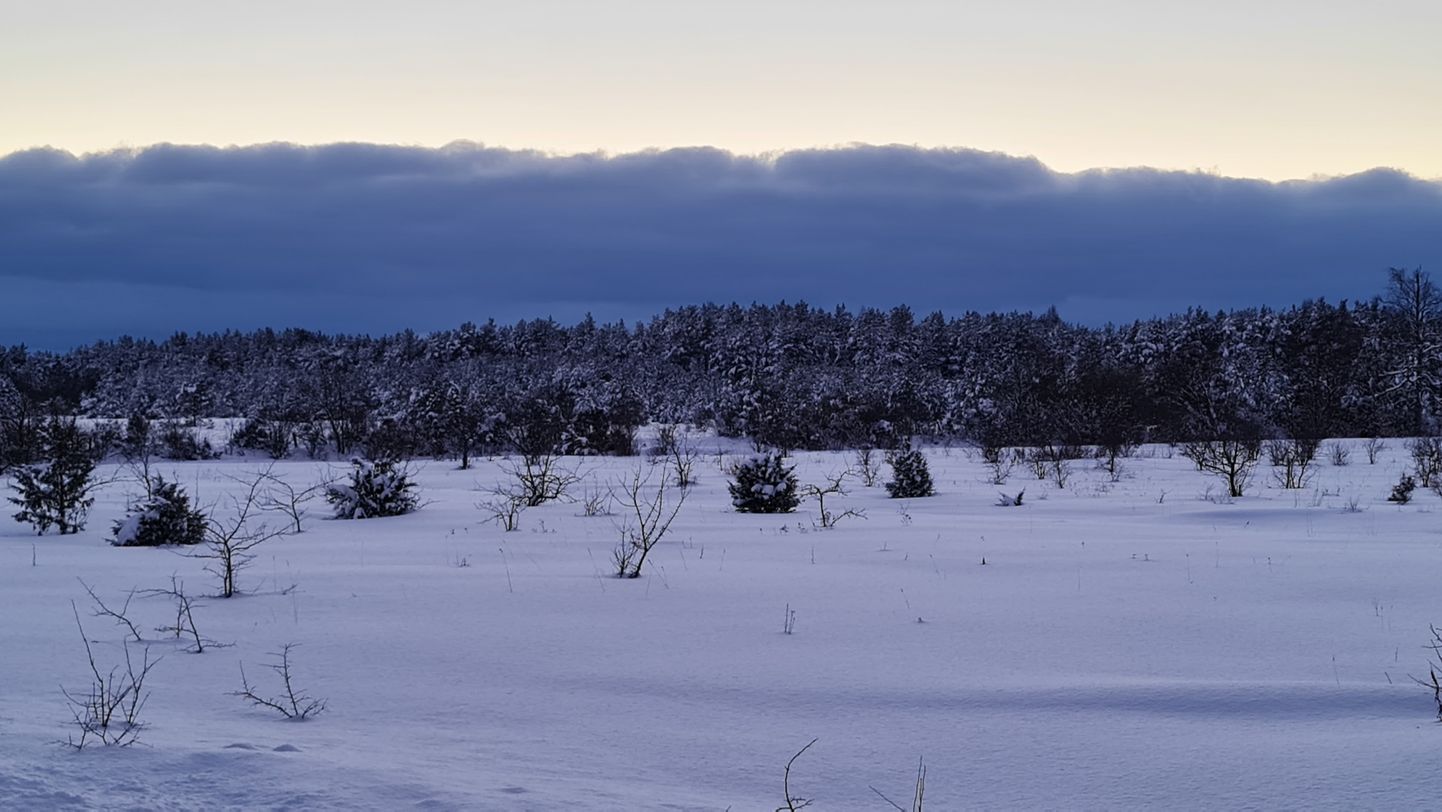 Lumeuputus Saaremaal 31. jaanuaril 2020.