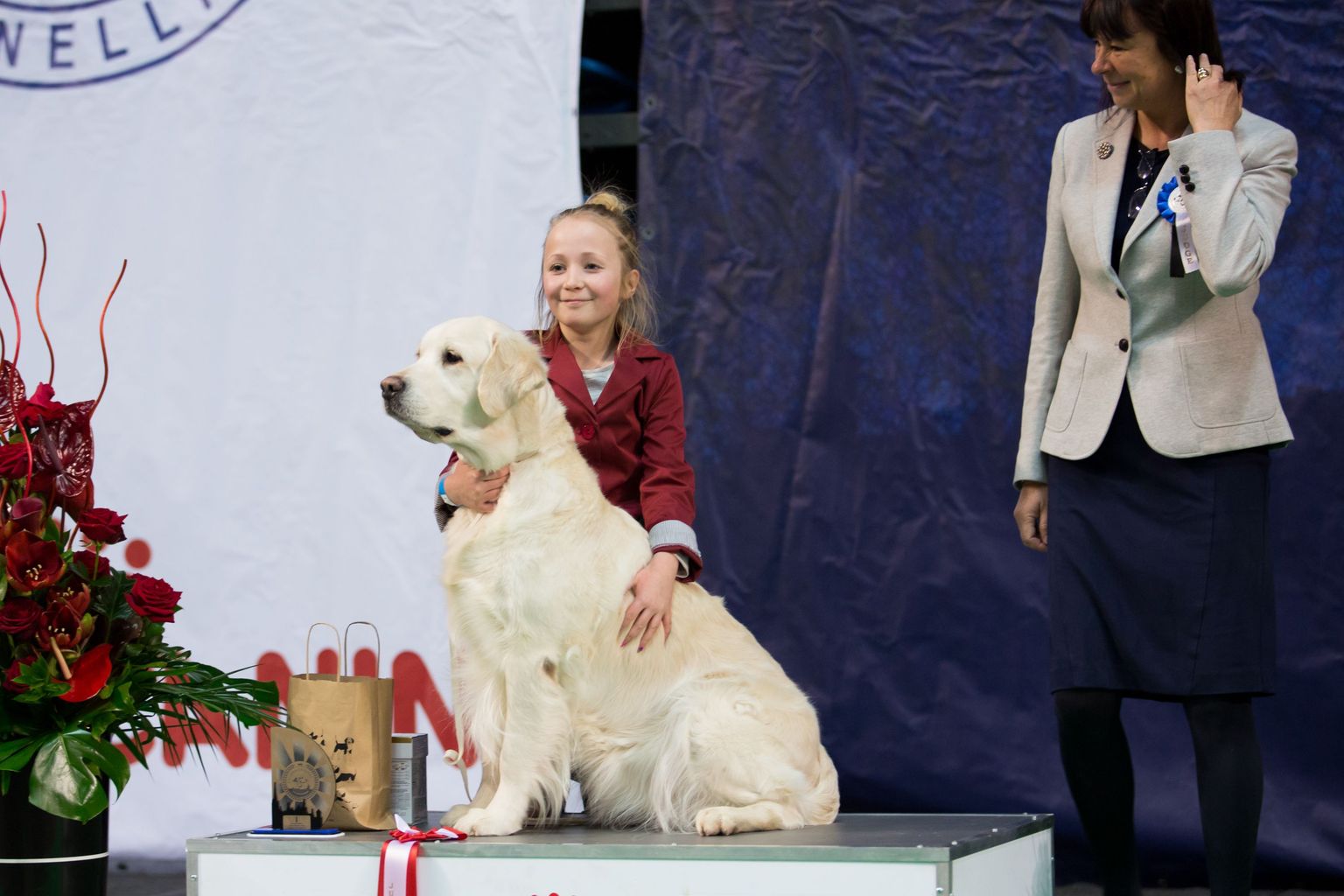 Rahvusvaheline koertenäitus «Tallinn võitja 2017» Saku Suurhallis. 
FOTO: JAANUS LENSMENT/POSTIMEES