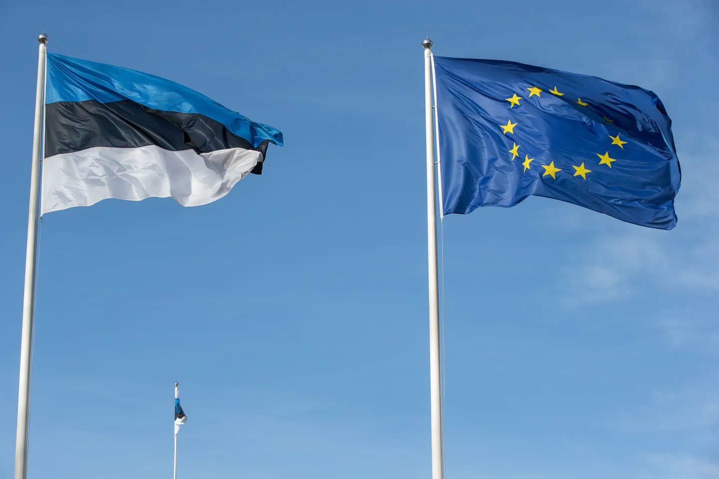 Euroopa Liidu lipp, Eesti lipp.