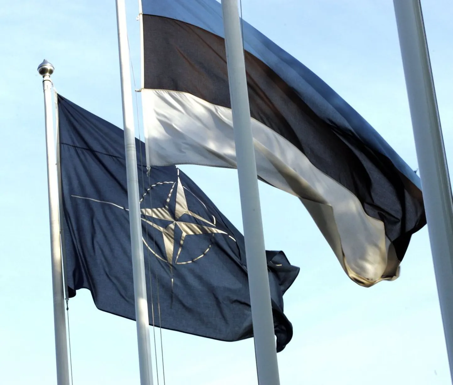 Флаг НАТО и флаг Эстонии