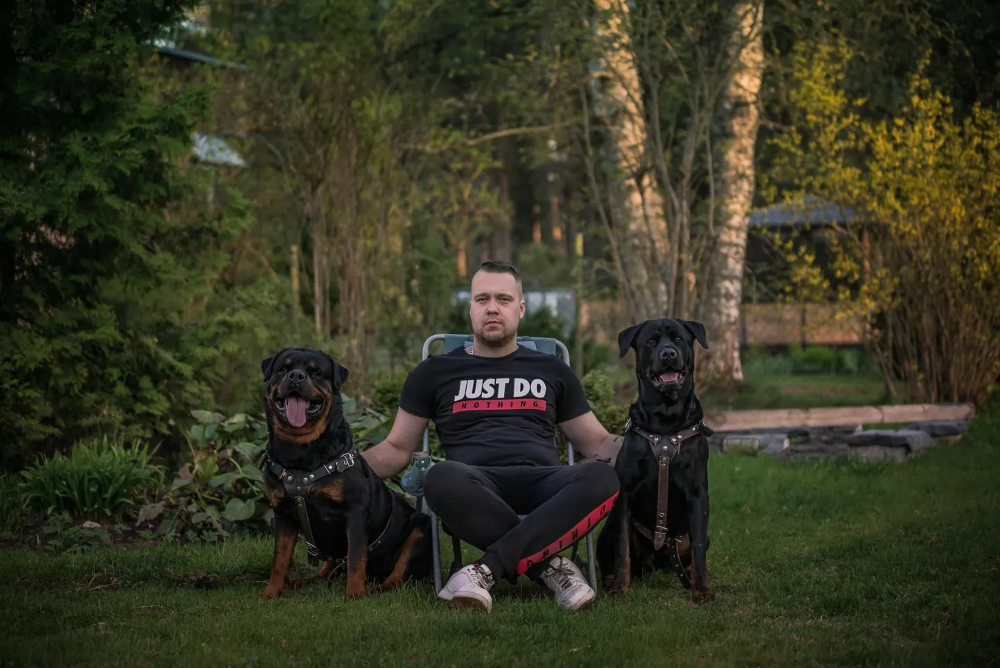Sander Toom oma loomi võõrastel nunnutada ei lase. Rotveilerite Hero ja Herjolfsson’s Mehmet-Armani ülesanne on omaniku sõnul oma peremeest kaitsta.
