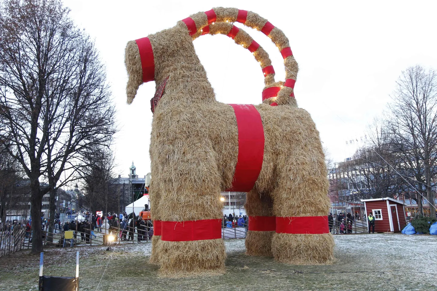 Raksta foto