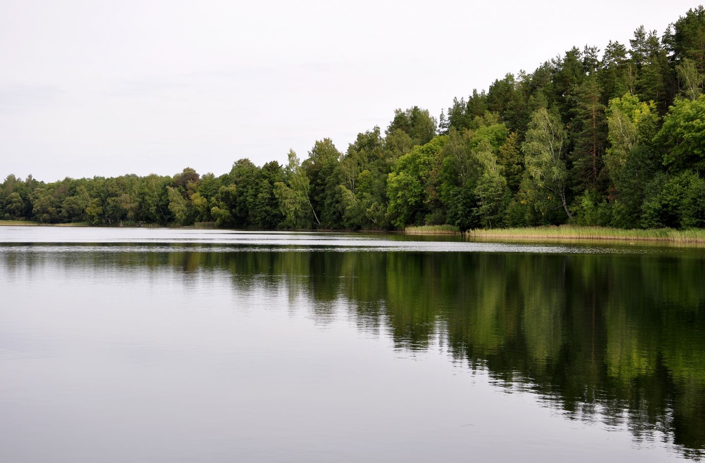 Sventes ezers Daugavpils novadā.