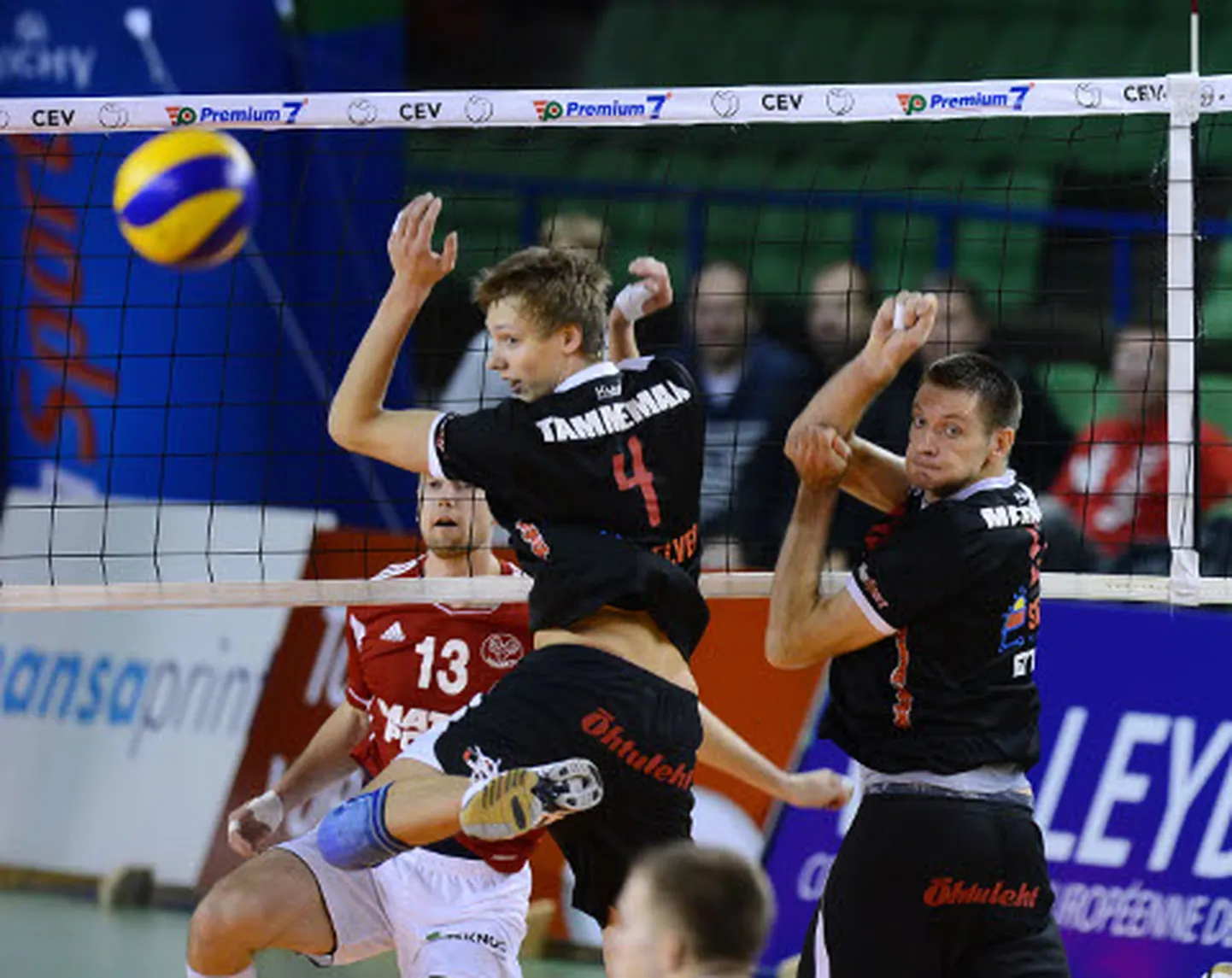 Tippvõrkpalli jälgimine saalis pakub märksa võimsamaid elamusi, kui teleri vahendusel.
