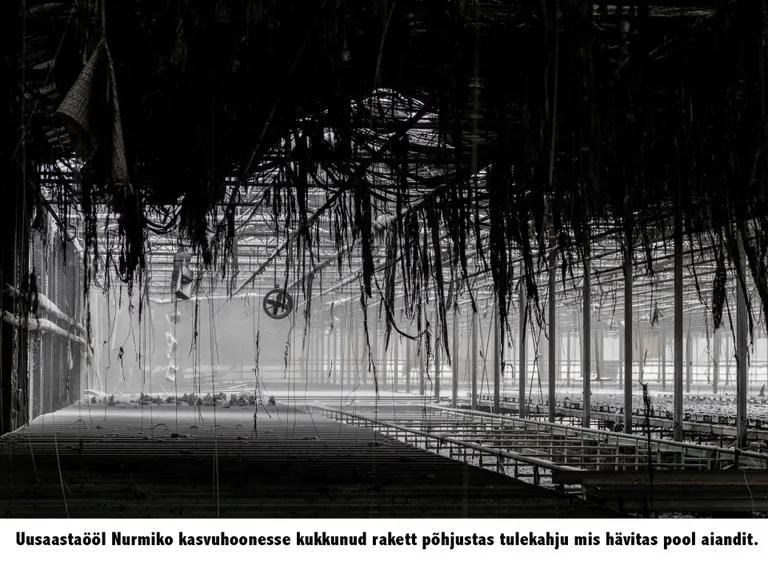 Mihkel Maripuu pildistas Nurmiko kasvuhoonet, mida on laastanud uusaastaööl ilutulestiku raketi süüdatud põleng.