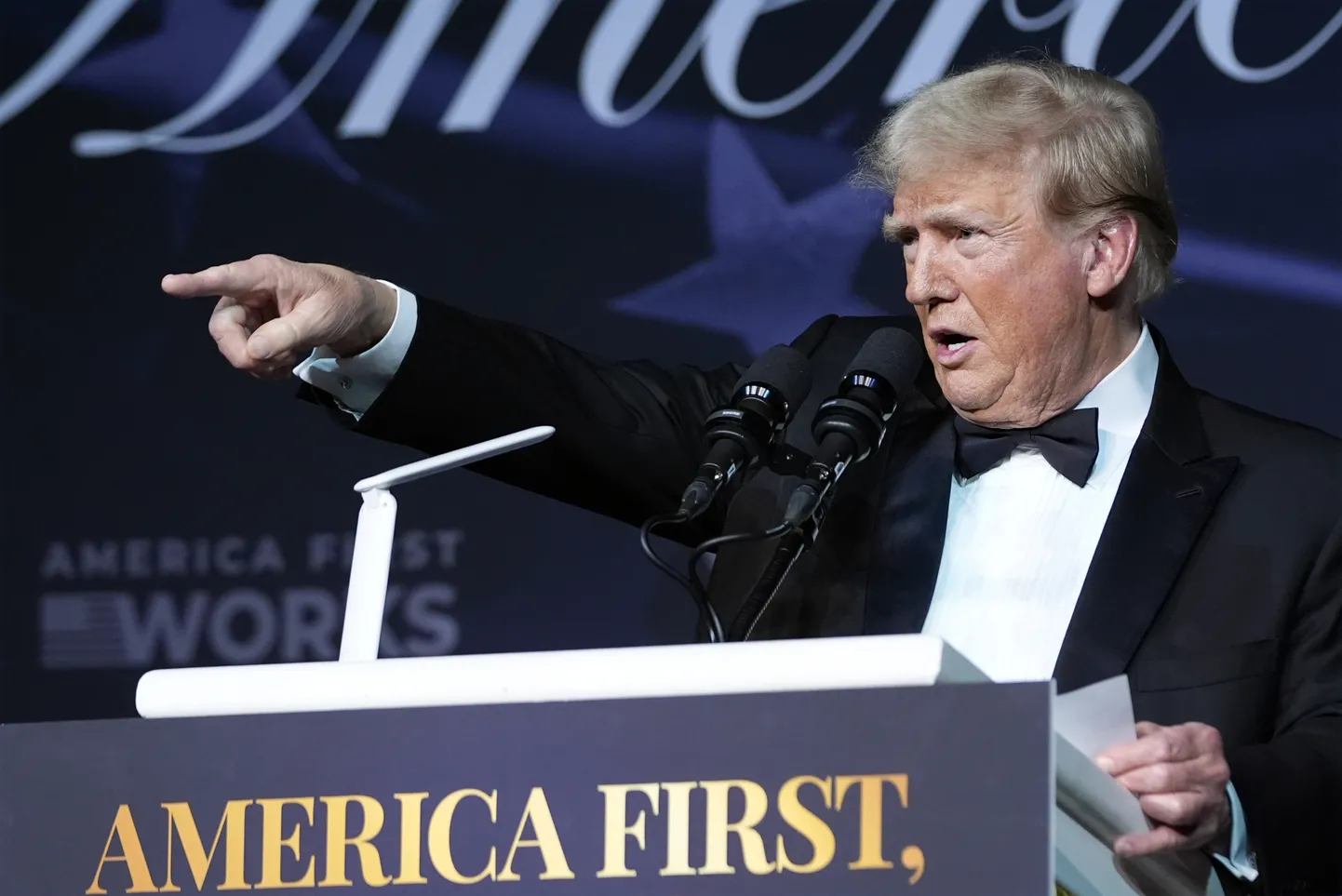 Избранный следующим президентом США Дональд Трамп выступает на гала-вечере Института политики «Америка превыше всего» 14 ноября 2024 года.