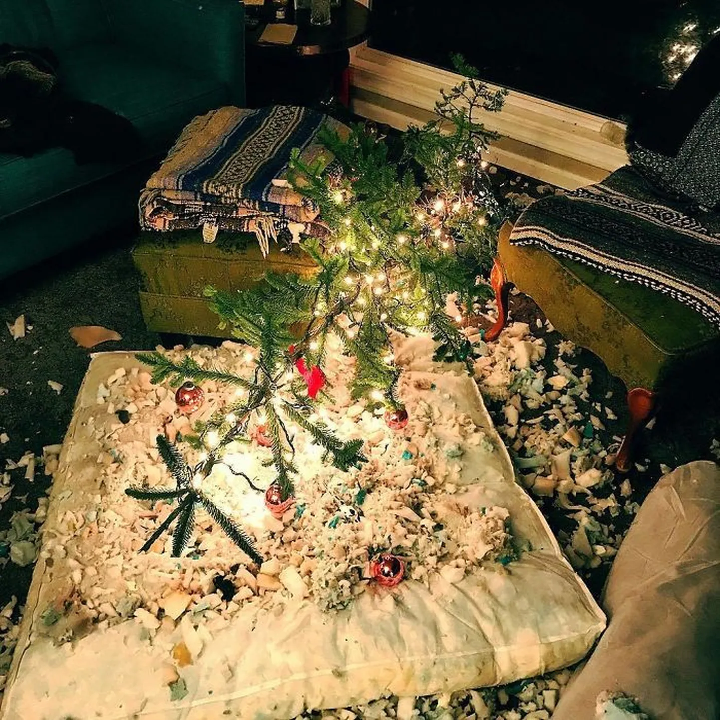 Artikli foto