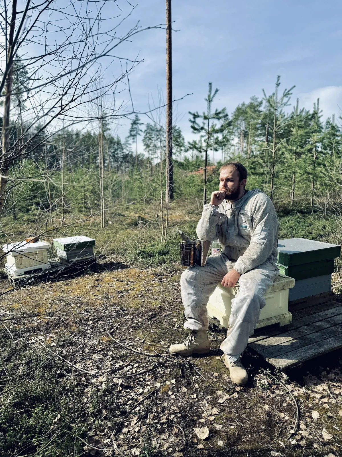 Eesti Maaülikooli doktorant Sigmar Naudi teab, et Ameerika haudmemädanik (AHM) on meemesilaste vastseid nakatav haigus, mille tagajärjeks on terve mesilaspere hukkumine. Kui haiguse sümptomite esinemisel on seda üsna kerge tuvastada, siis haigustekitajate esinemist enne sümptomite teket ei ole võimalik mesinikul märgata ning ennetavaid meetodeid rakendama hakata.