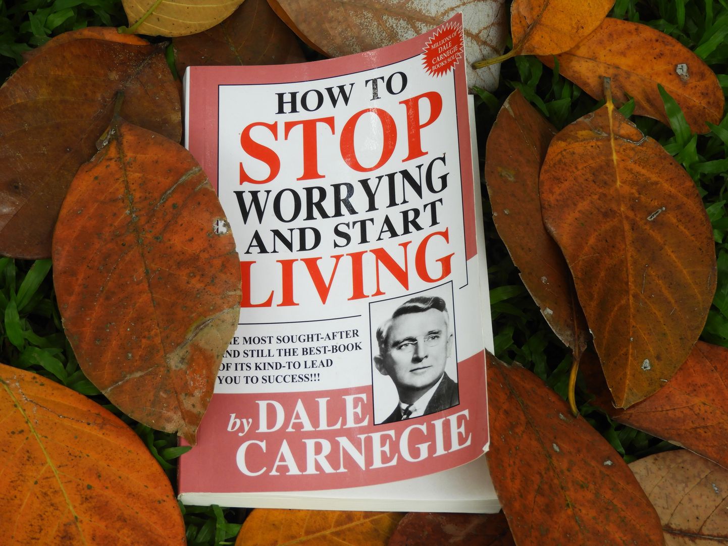 Dale Carnegie teos «Stop Worrying and Start Living» ehk «Lõpeta muretsemine ja hakka elama».