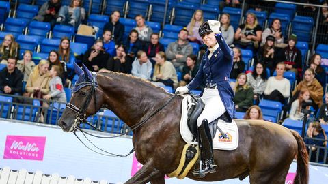 Tallinn International Horse Show toob tagasi koolisõidu MK-etapi