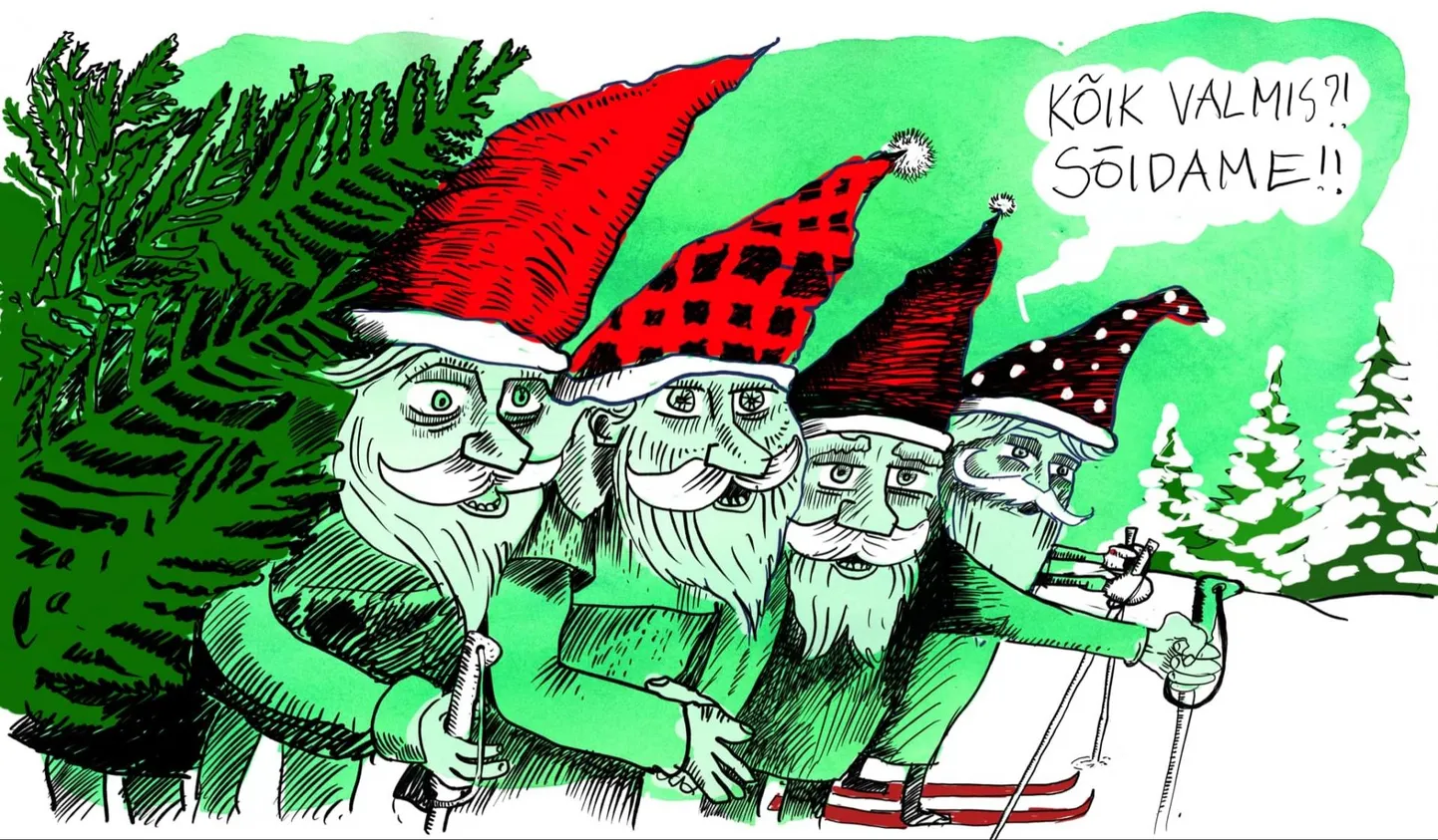 Sel nädalal sadas maha algava talve esimene lumi ja Pärnu Keskväljakule pandi püsti jõulupuu.