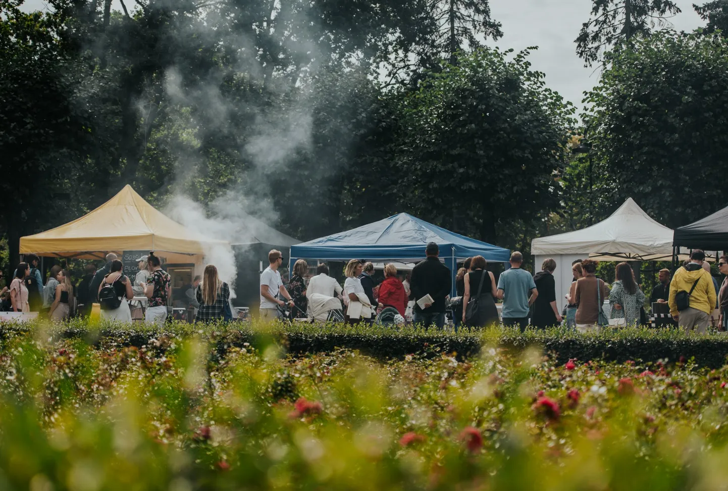 Raksta foto
