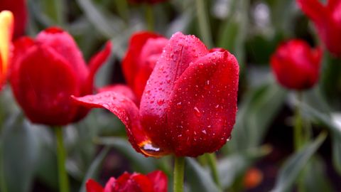 Trešdiena varētu būt nedēļas vēsākā diena