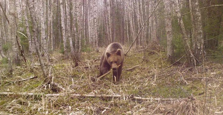Karu Järvamaal.