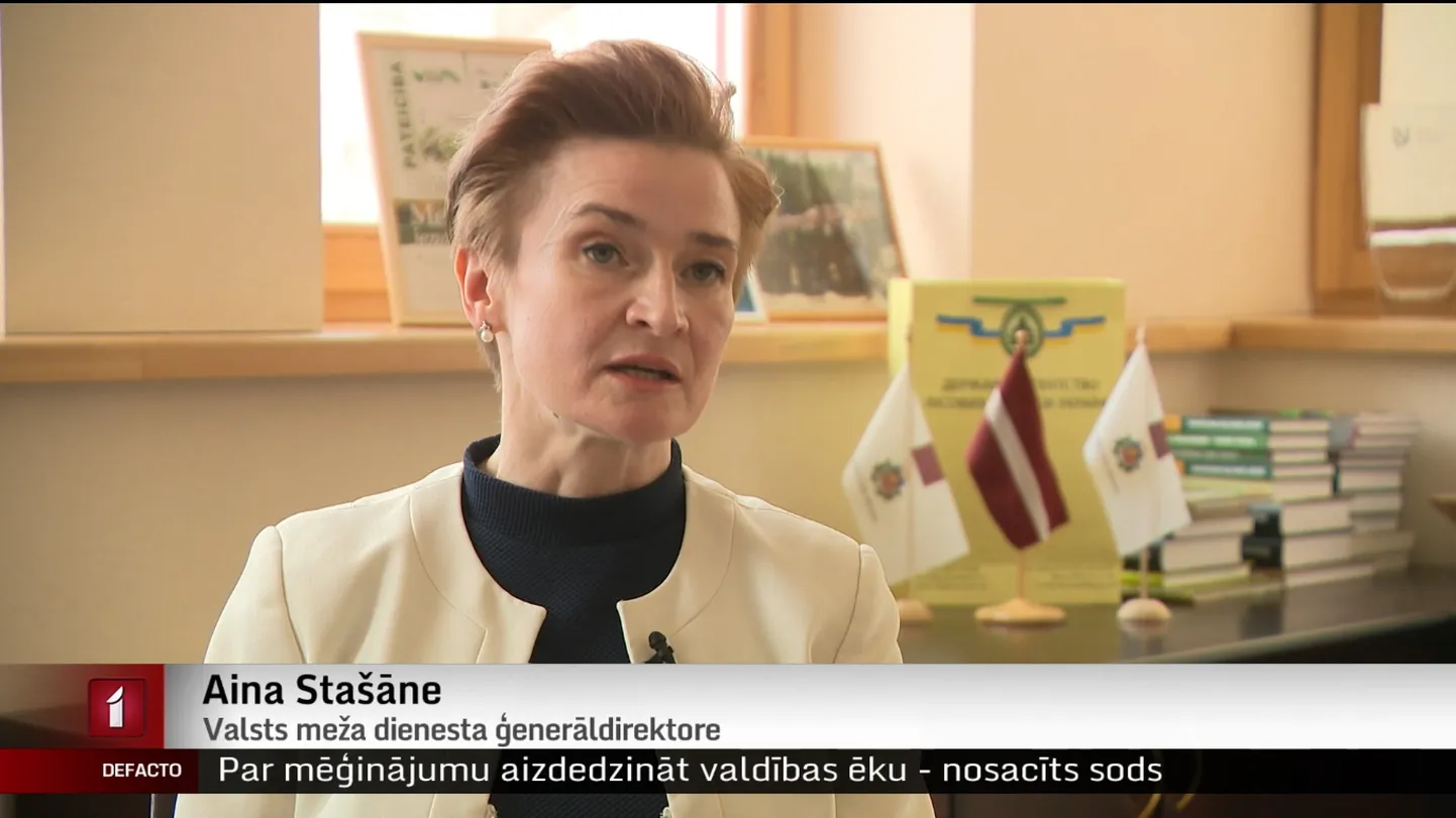 Valsts meža dienesta ģenerāldirektore Aina Stašāne