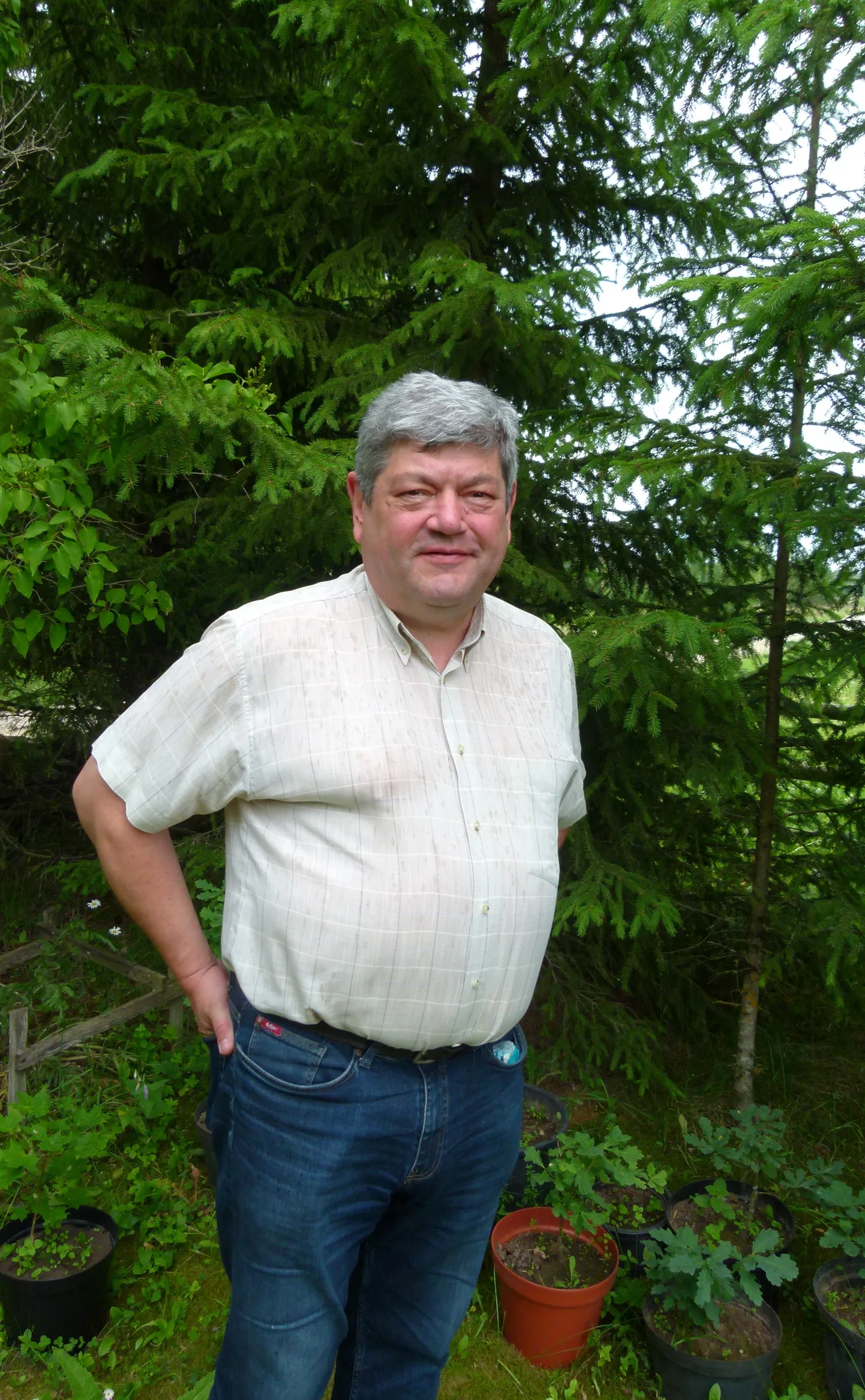 Andres Talijärv rääkis, kuidas ta kodu kõrval raiet tehti. „See oli vana metsastunud karjamaa. Hooldusraiel selgus, et kõigil puudel, mis seal võeti, oli mädanik sees. Nüüd tehti lageraie ja väga hea – noor mänd on meetrine, 10–15 aasta pärast kasvab siin palju ilusam mets kui enne.”