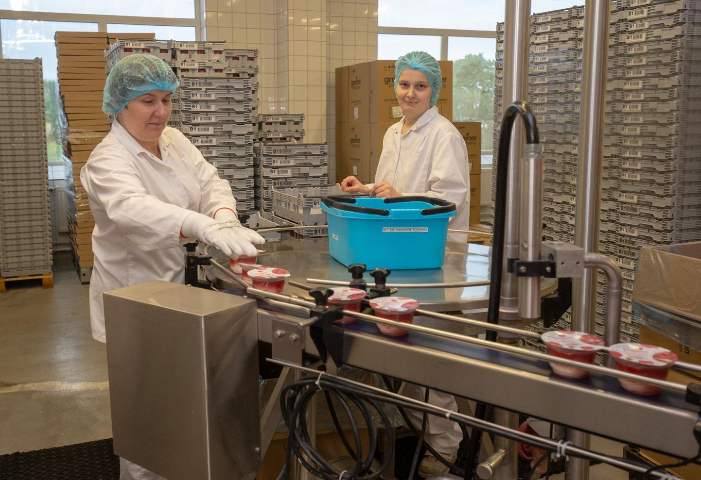 Tere piimatööstuse Viljandi tehases valmivad kohukesed, kohupiimakreemid ja sulatatud juustud.