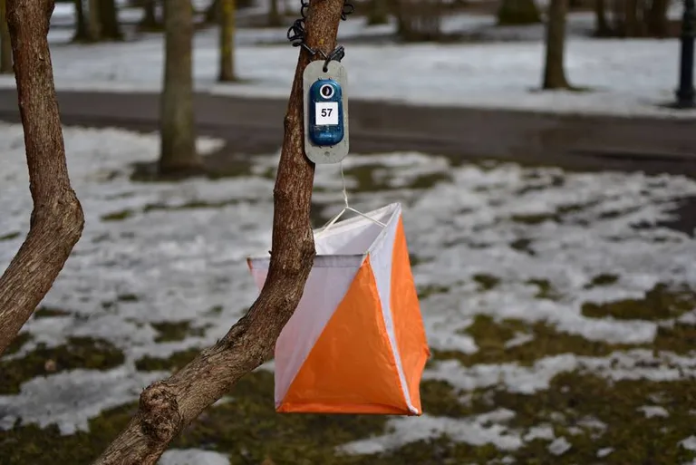 Orienteerumise märkeseade.