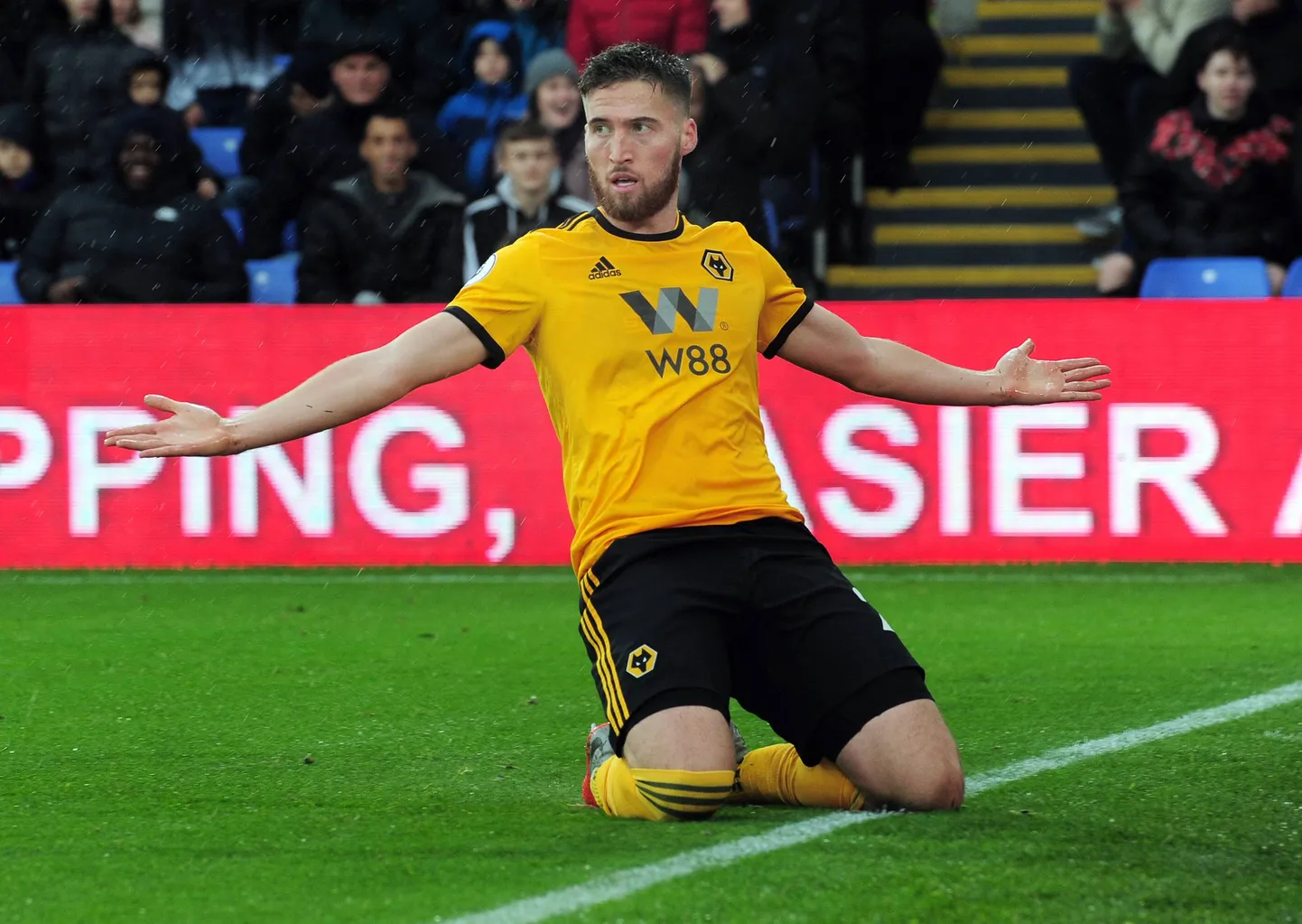 Matt Doherty