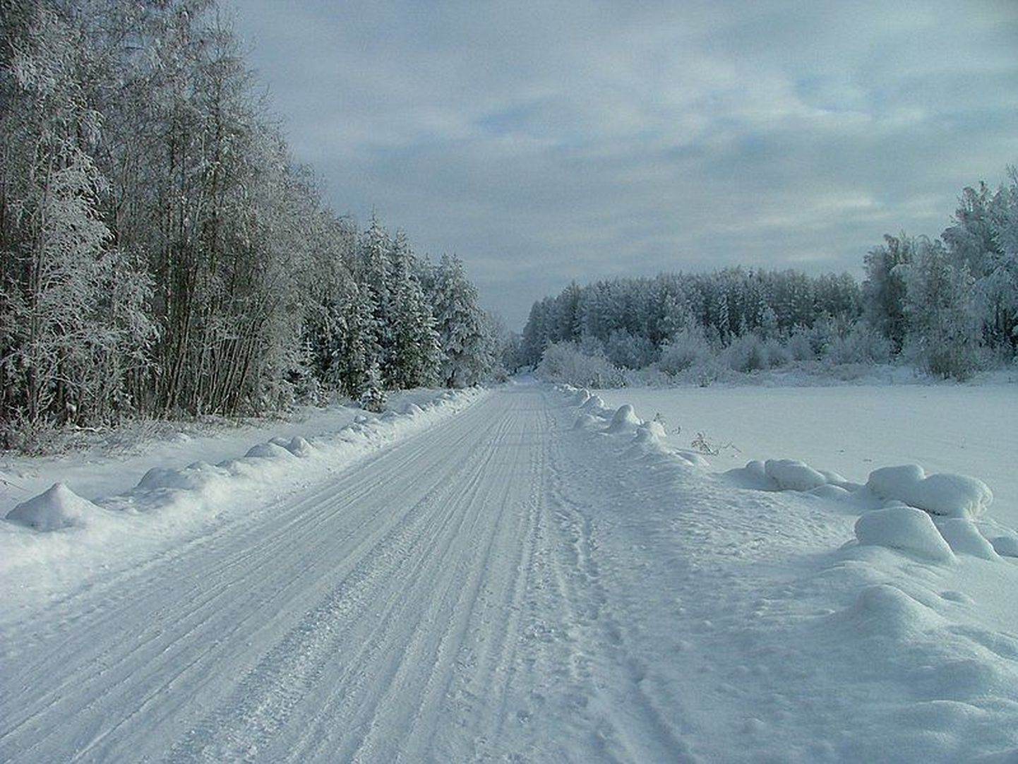 Talvine loodus Vorbusel.