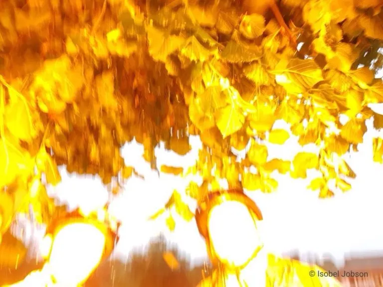 Raksta foto