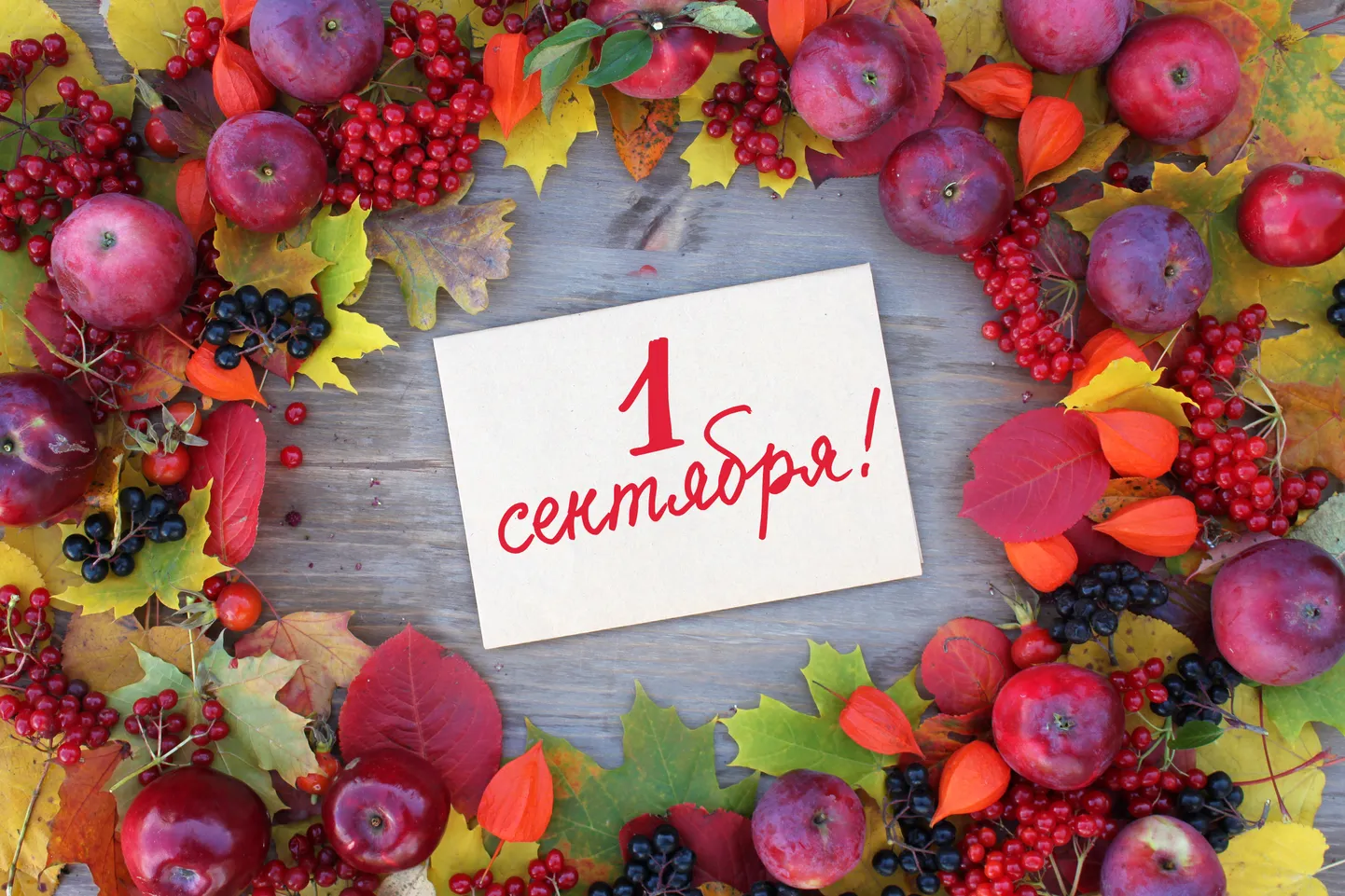 Иллюстративное фото