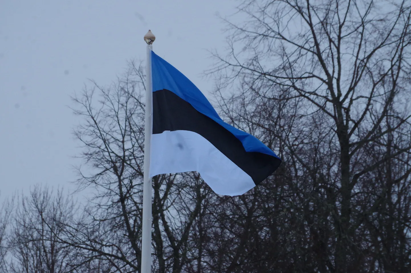 Eesti Vabariigi 104. sünnipäeva lipuheiskamine ja paraad Antslas.