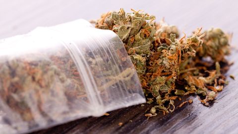Попытка вывезти из Голландии марихуану обернулась для эстонца штрафом в 500 евро