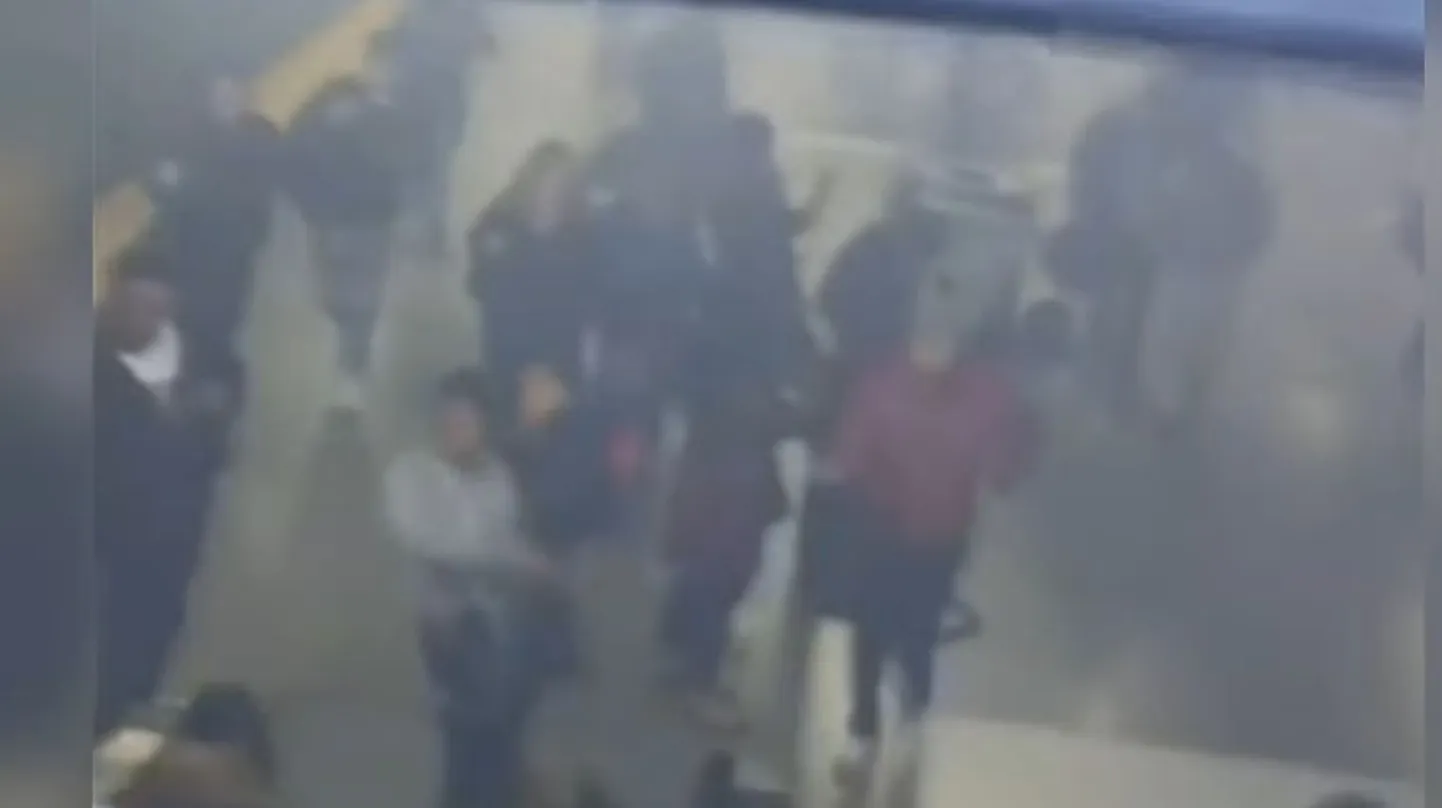 Artikli foto