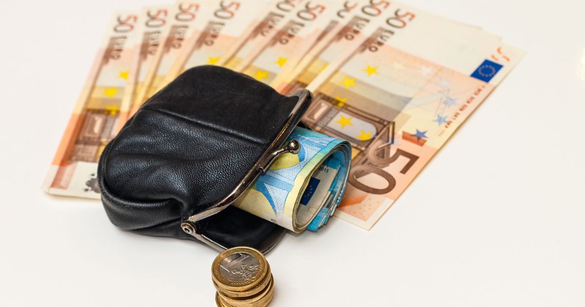 PALGAKALKULAATOR ⟩ Mida uue valitsuse tulumaksureform su rahakotile tähendab?