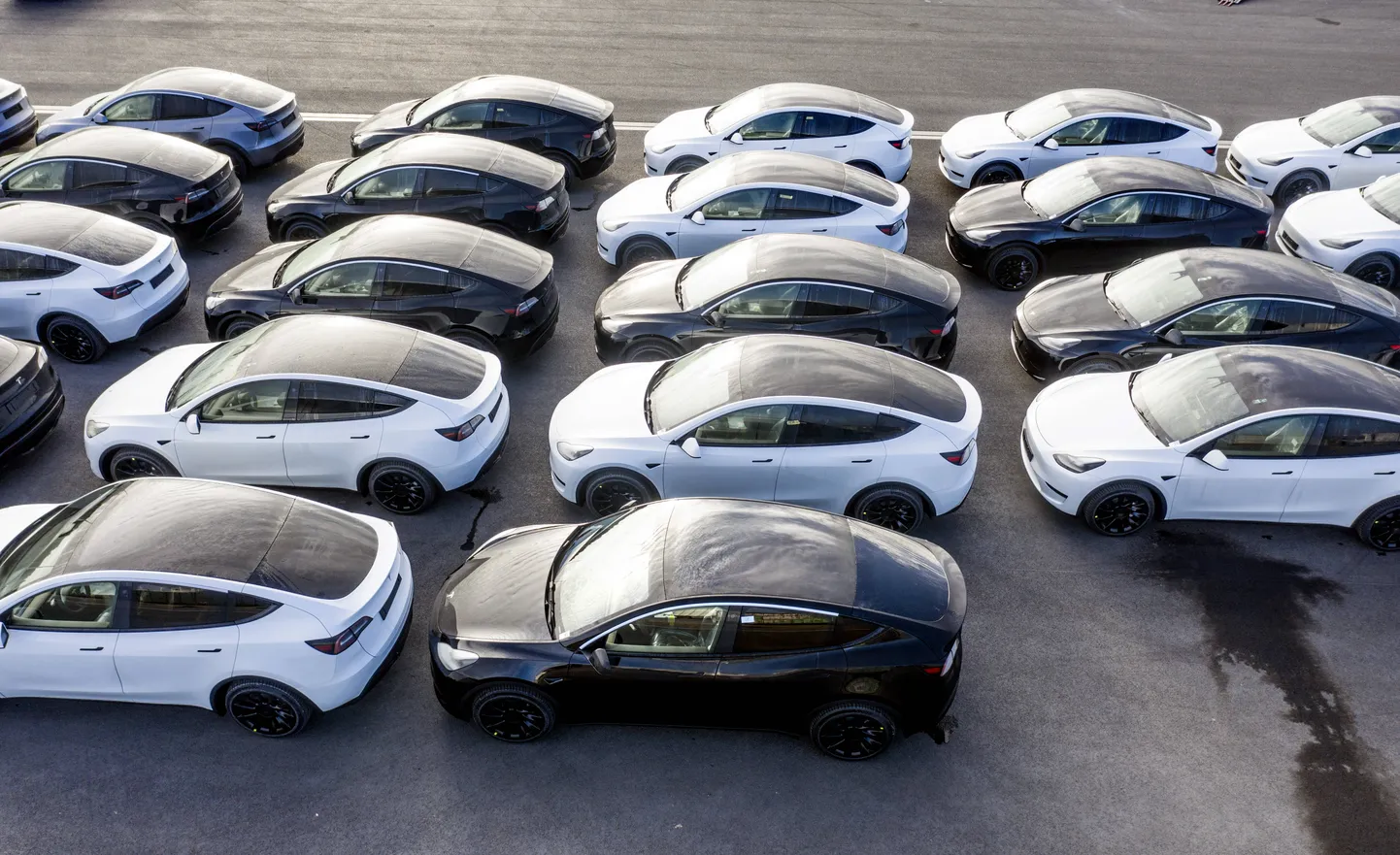 Tesla.