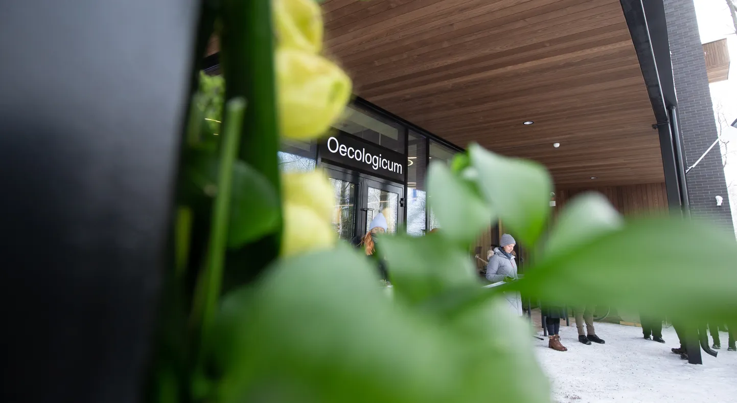 Tartu Ülikooli õppehoone Oecologicum.