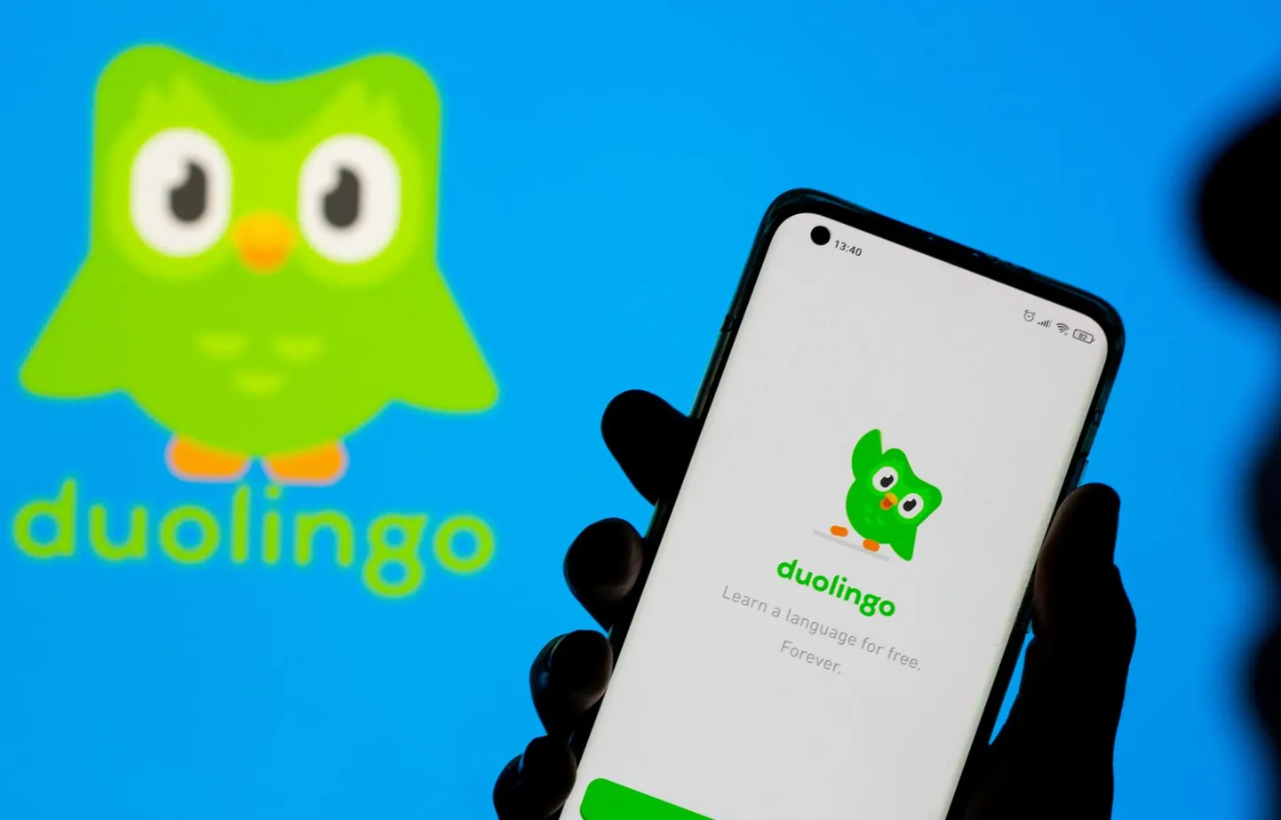 Приложение для изучения языков Duolingo.