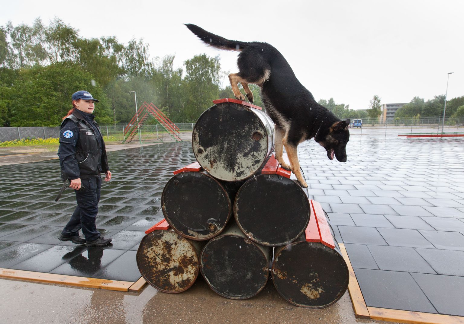 Politseikoerte hoiu- ja treeningupaik Ädala tänaval Tallinnas. Pildil koerajuht Regina Koemets politseikoer Reiga.