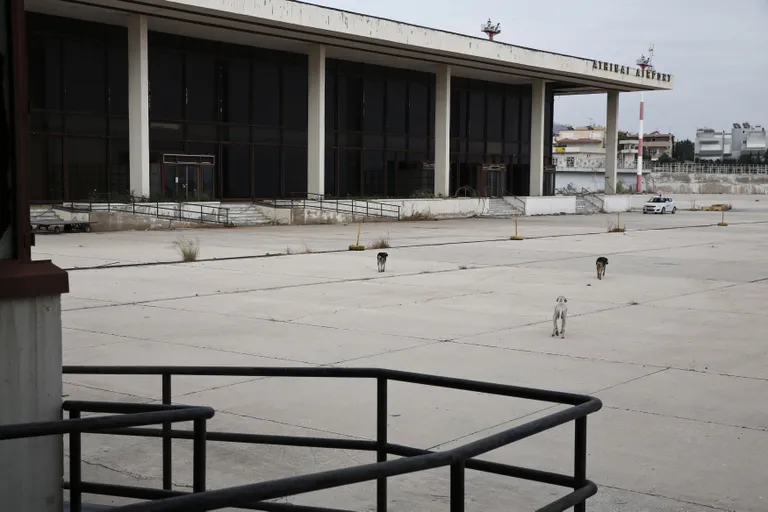 Hulkuvad koerad Ellinikoni lennujaama territooriumil. Foto: Reuters/SCANPIX
