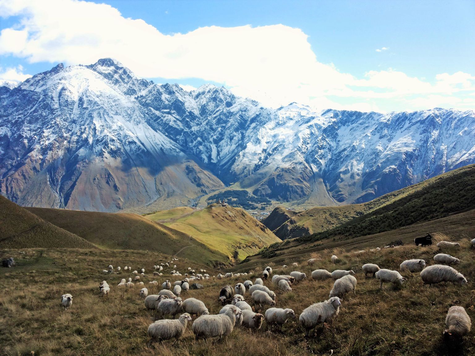 Gruusia on imeliste mägede maa. Pildil Kazbegi, üks riigi kõrgemaid tippe, mille nõlvadel söövad rohtu lambad.