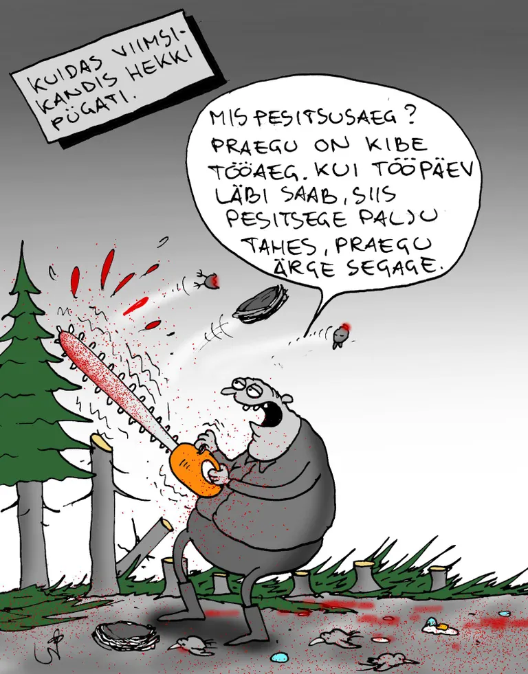 Artikli foto