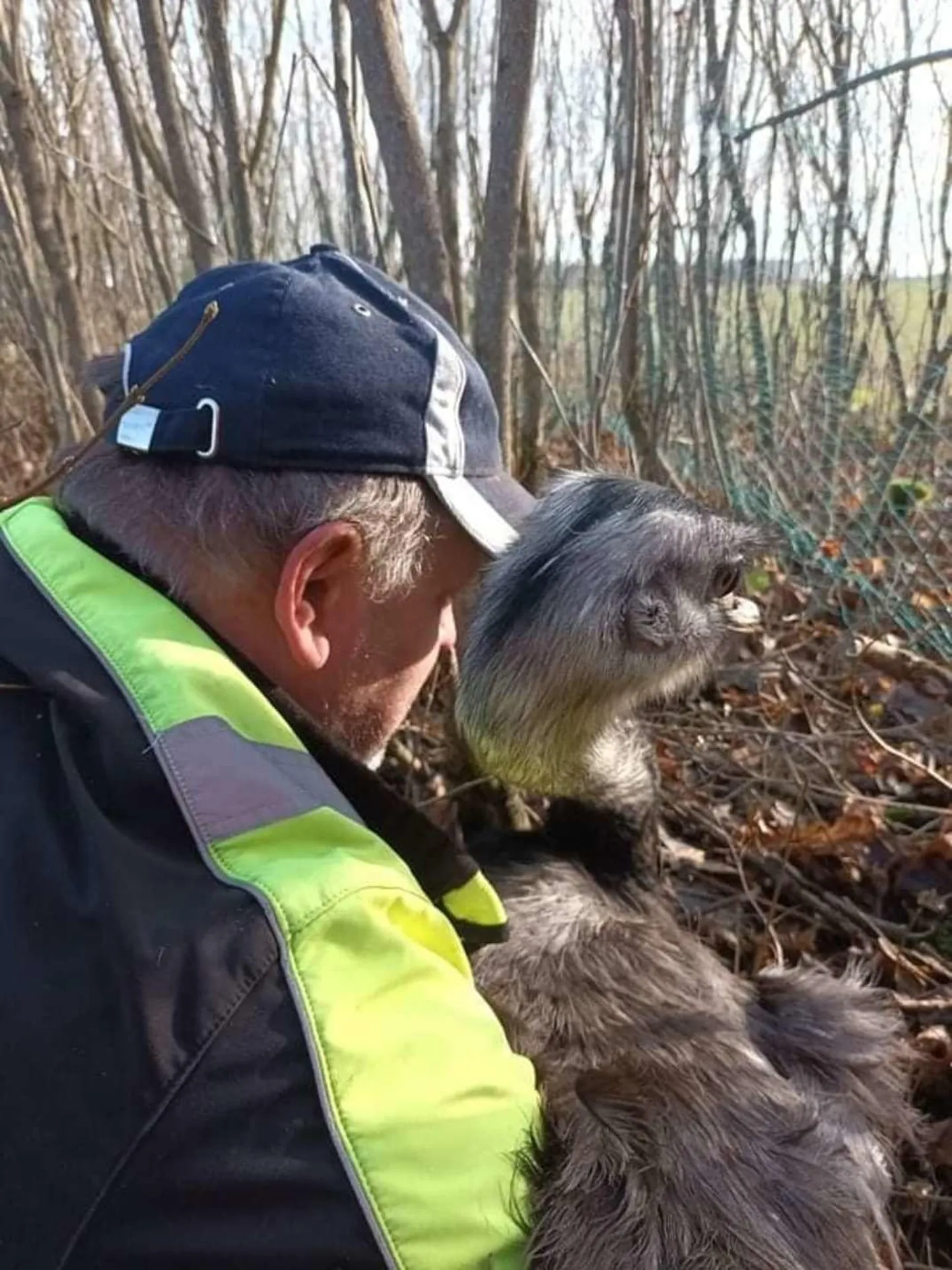 Marek Riima ja kadunud nandu taaskohtumise kallistus.
