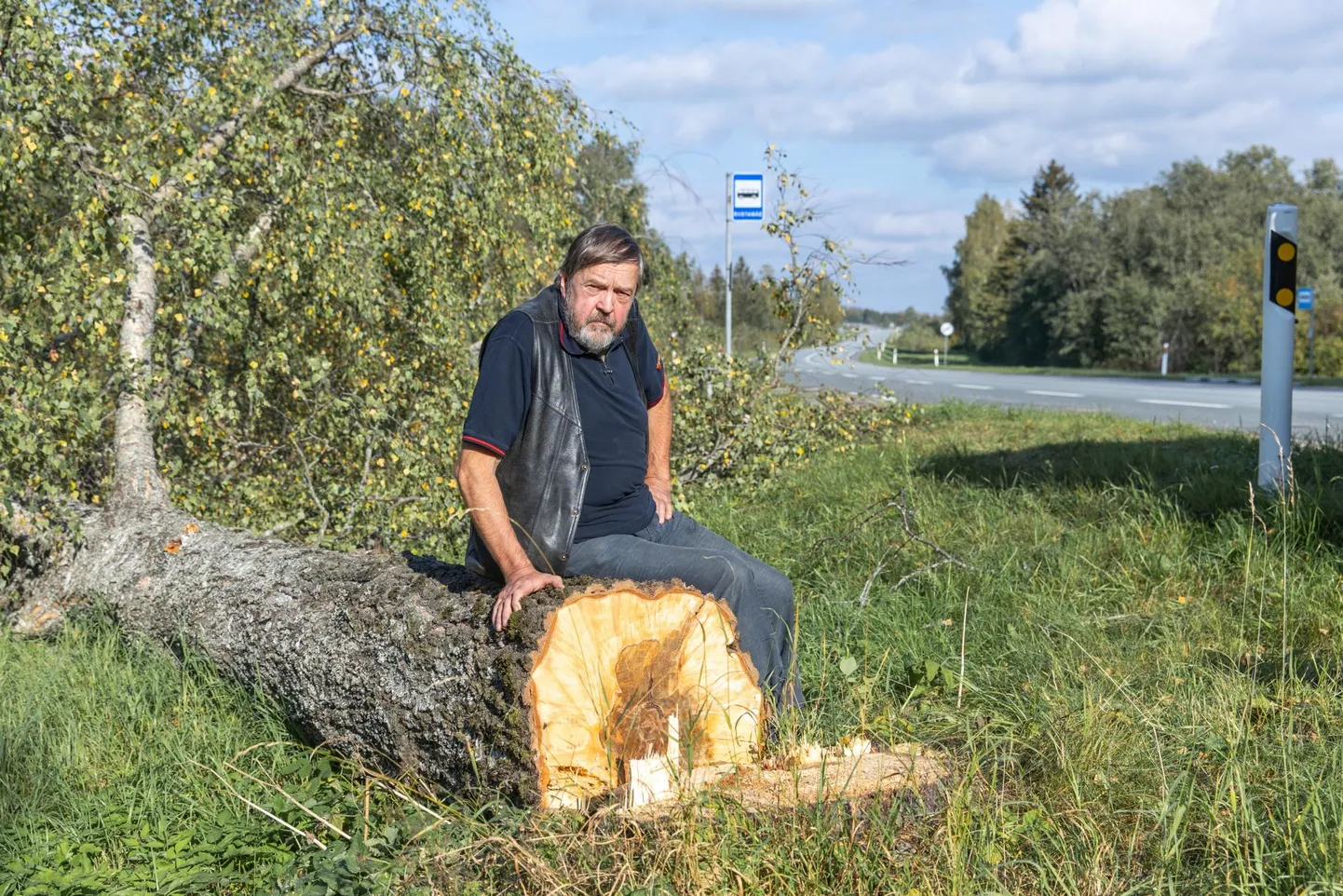 Võduvere külavanem Ülo Kais on kurb, et 60–70 aastat mitte kedagi seganud maanteeäärsed puud maha saeti.