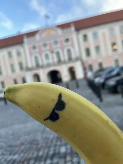 Reinaasa poolt 14 sendi eest palgatud banaan riigikogu ees.