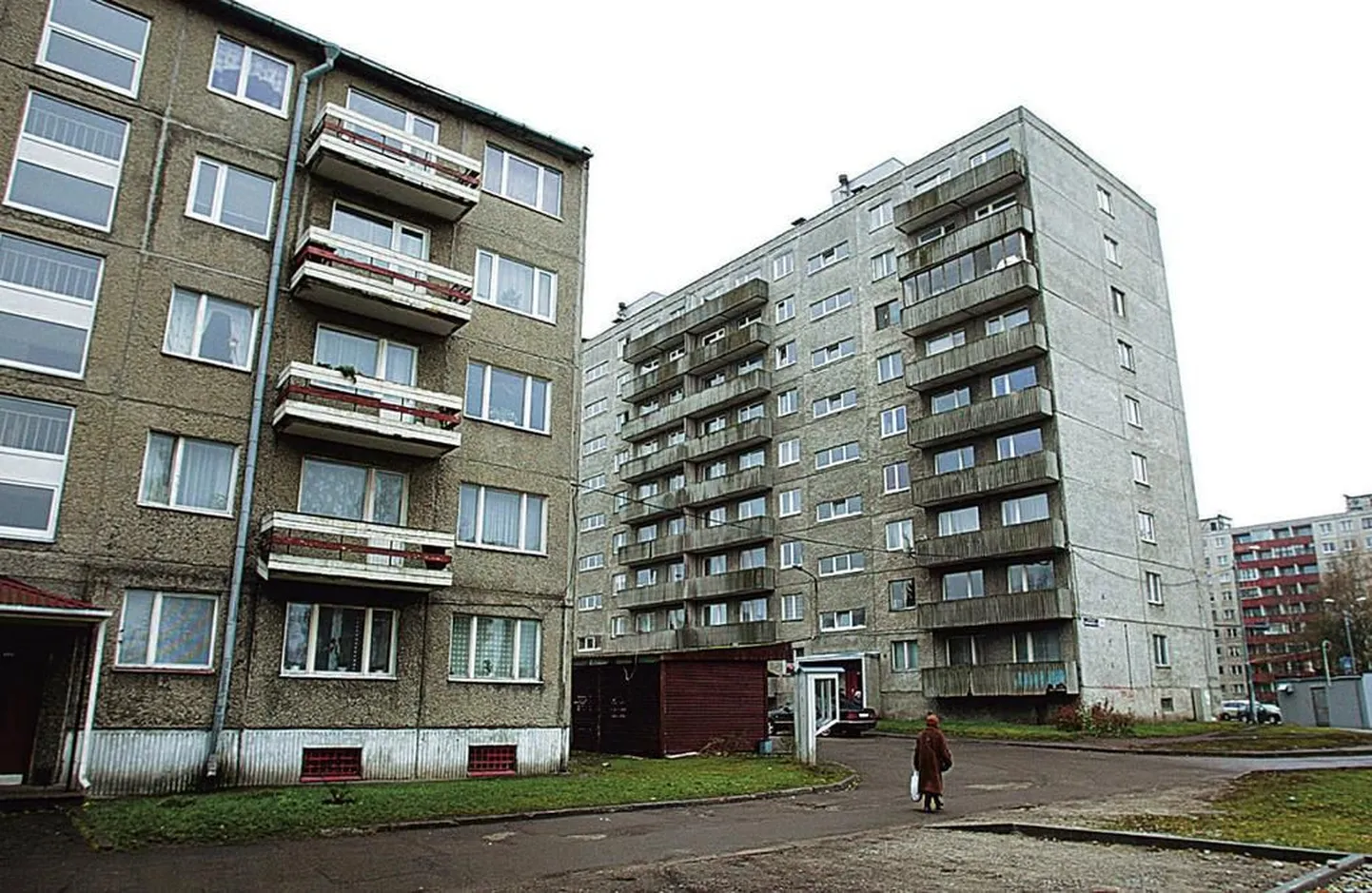 Фото статьи